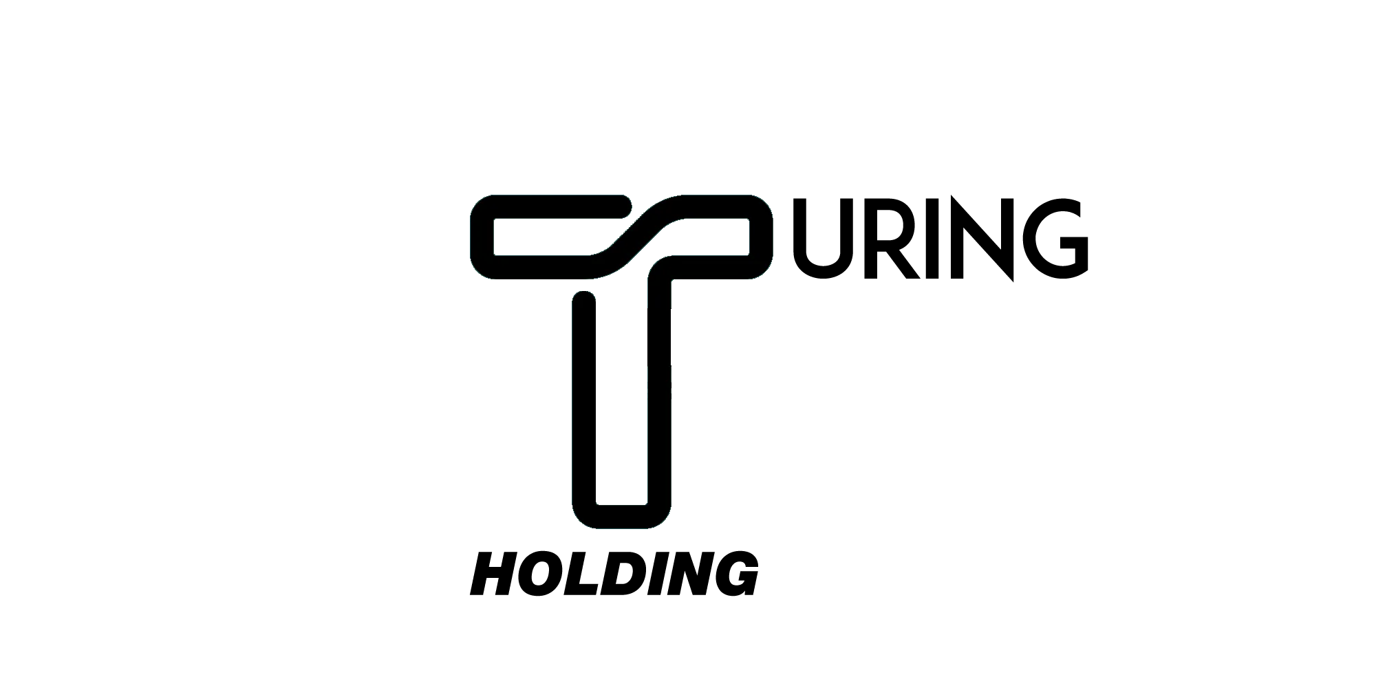 Turing Holding GmbH